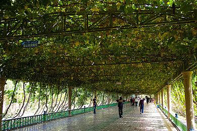 《宇宙边缘的夏天》Steam商店页面上线 发售日期待定